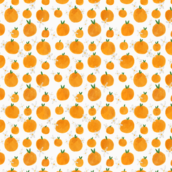 Orange Garden in Summer