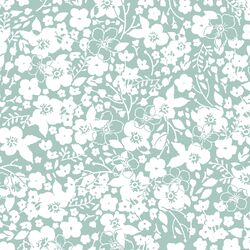 Forget Me Not in Aspen