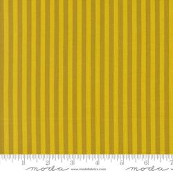 Stripe in Citrine
