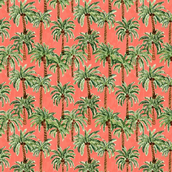 Little Palm Paradise in Punch
