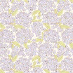Summer Hydrangeas in Cream