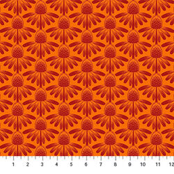 Coneflower in Tangerine