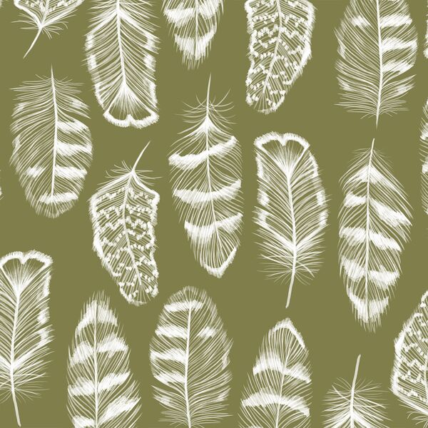 Plume in Jungle