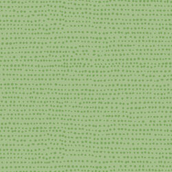 Moonscape in Kiwi
