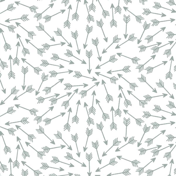 Arrows in Eucalyptus in White