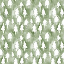 Christmas Tree in Winter Fir